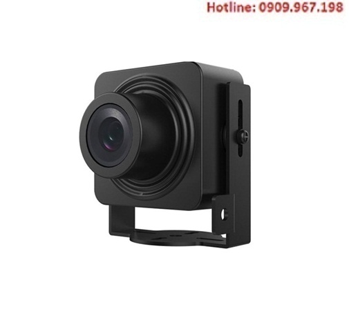Camera Hikvision IP ngụy trang DS-2CD2D14WD